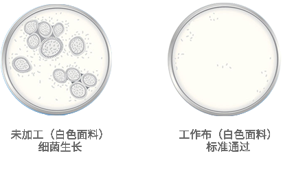 專業除甲醛